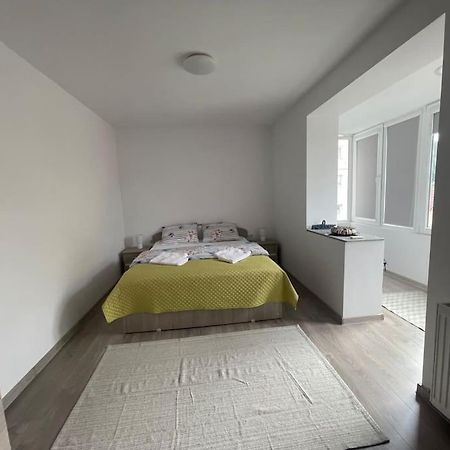 Lady M Apartment Sighișoara Zewnętrze zdjęcie