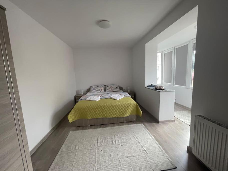 Lady M Apartment Sighișoara Zewnętrze zdjęcie